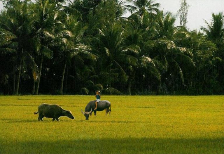 Trương Trọng Nghĩa là một trong những kiến trúc sư tài năng và nổi tiếng của Việt Nam. Hãy xem qua những hình ảnh về các tác phẩm của ông để thấy rõ được niềm đam mê và năng lực của một con người gắn bó với ngành kiến trúc. (English: Truong Trong Nghia is one of the talented and famous architects of Vietnam. Let\'s look at pictures of his works to see the passion and ability of a person devoted to the architecture industry.)