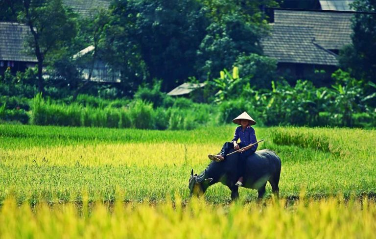 Thơ Trương Trọng Nghĩa – đăm đắm hồn quê